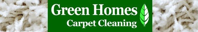 green carpet cleaning title banner